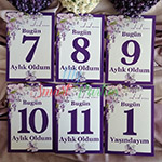 Bebek Anı Kartları - Mor Çiçek Kuş Tema - Aylık Bebek Kartları